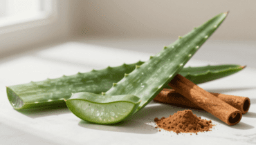 Aloe vera e cannella: le 5 ricette tradizionali per la vista e la digestione (e le loro precauzioni d’uso) Aloe vera e cannella: le 5 ricette tradizionali per la vista e la digestione (e le loro precauzioni d’uso)