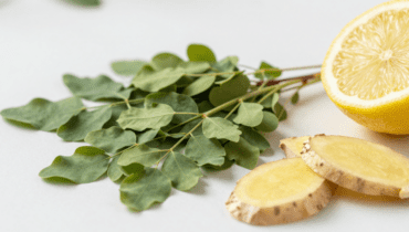 Moringa, zenzero e limone: come questo infuso quotidiano sostiene l’immunità e la vitalità dopo i 30 anni Moringa, zenzero e limone: come questo infuso quotidiano sostiene l’immunità e la vitalità dopo i 30 anni