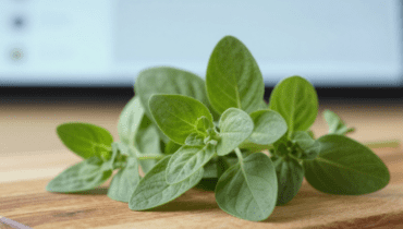 Salute oculare: come l’origano protegge i tuoi occhi dallo stress ossidativo e dalla luce blu Salute oculare: come l’origano protegge i tuoi occhi dallo stress ossidativo e dalla luce blu