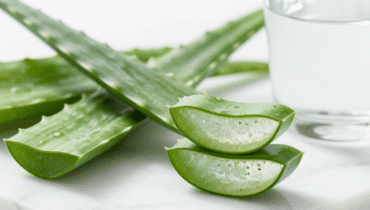 Aloe vera: 17 benefici scientifici del succo fatto in casa e la ricetta per prepararlo senza rischi