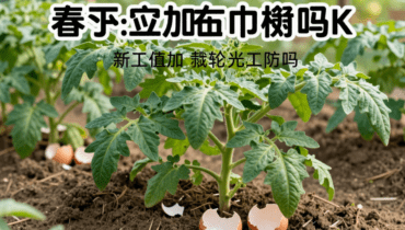 Gusci d’uovo in giardino: come questo scarto di cucina arricchisce il suolo e respinge lumache e chiocciole Gusci d’uovo in giardino: come questo scarto di cucina arricchisce il suolo e respinge lumache e chiocciole