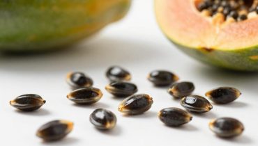 Semi di papaya: perché questo alimento antiparassitario e protettore del fegato finisce (ancora) nella spazzatura Semi di papaya: perché questo alimento antiparassitario e protettore del fegato finisce (ancora) nella spazzatura