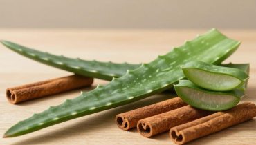 Aloe vera e cannella: come questo duo naturale sostiene digestione, immunità e glicemia quotidianamente Aloe vera e cannella: come questo duo naturale sostiene digestione, immunità e glicemia quotidianamente
