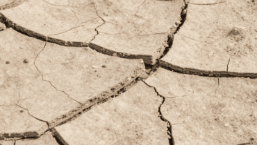 Talloni screpolati: come una patata cruda elimina la pelle morta e idrata in 30 minuti