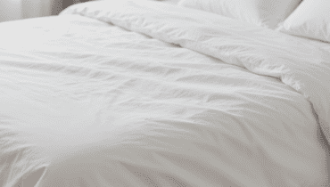 Dormire con il proprio gatto: la bartonellosi e i parassiti che rischi ogni notte (e come evitarli) Dormire con il proprio gatto: la bartonellosi e i parassiti che rischi ogni notte (e come evitarli)