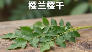 Foglie di curry: come questa pianta ayurvedica aiuta a regolare la glicemia, migliorare la circolazione e alleviare le articolazioni