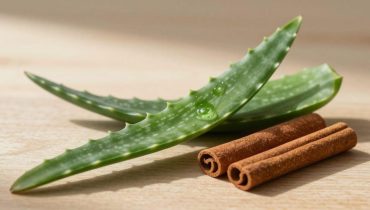 Aloe vera e cannella: come questa associazione naturale sostiene la digestione, la circolazione e la salute oculare