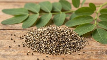 Semi di moringa: 15 benefici nutrizionali che ne fanno un superfood naturale per la salute