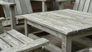 Cimici dei letti in giardino: come eliminarle in pochi minuti prima che invadano la vostra casa Cimici dei letti in giardino: come eliminarle in pochi minuti prima che invadano la vostra casa