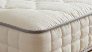 Cimici dei letti: come una singola femmina depone 500 uova in pochi mesi e le soluzioni naturali per fermare l’invasione