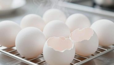 Gusci d’uovo bolliti: come trasformarli in una risorsa gratuita per casa e giardino Gusci d’uovo bolliti: come trasformarli in una risorsa gratuita per casa e giardino