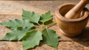 Neem: la foglia tradizionale ayurvedica che sostiene la glicemia, la circolazione e il comfort articolare
