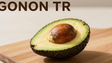 Nocciolo d’avocado: perché gli esperti sconsigliano le tendenze wellness che lo esaltano Nocciolo d’avocado: perché gli esperti sconsigliano le tendenze wellness che lo esaltano