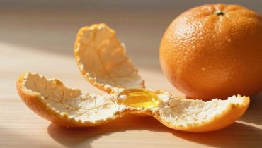 Scorze di mandarino: perché appoggiarle sui davanzali delle finestre purifica naturalmente l’aria della tua casa Scorze di mandarino: perché appoggiarle sui davanzali delle finestre purifica naturalmente l’aria della tua casa