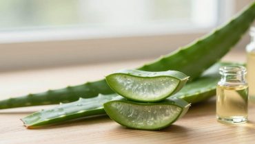 Crescita capillare: come l’olio di aloe vera fatto in casa stimola la crescita e riduce la caduta in 4 settimane