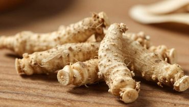 Zigolo infestante: la pianta medicinale ancestrale che i ricercatori riscoprono per l’infiammazione e l’equilibrio ormonale