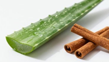 Aloe vera e cannella: questo duo di piante migliora digestione e circolazione secondo le ultime ricerche