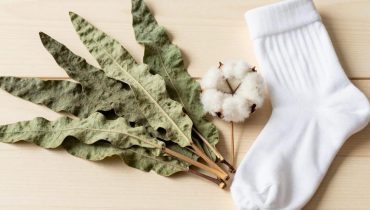 Verbasco sulla pianta dei piedi: come questa pratica ancestrale allevierebbe respirazione, dolori e sonno secondo la riflessologia