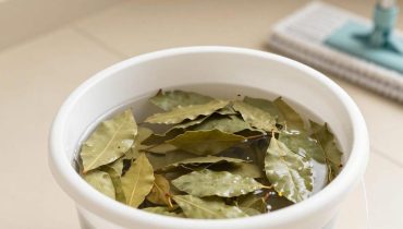 Foglie di alloro nell’acqua di lavaggio: come i loro oli essenziali dissolvono lo sporco ostinato