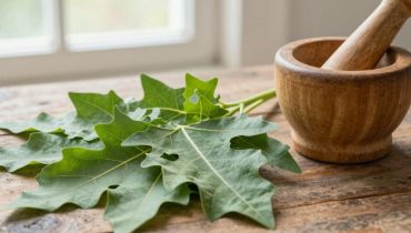 Foglie di papaya bollite: come i loro enzimi naturali alleviano digestione e infiammazione secondo la medicina tradizionale