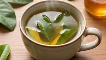 Tisana Quattro Foglie: Avocado, Mango, Corossole e Agrumi